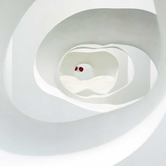 sugatakatachi, Yasufumi-Takahashi art-work, The Matrix of Space