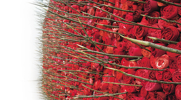 sugatakatachi, Yasufumi-Takahashi art-work