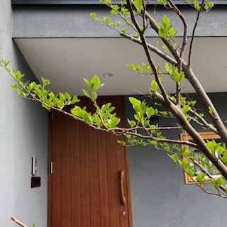 木製ドアハンドル/施工例/すがたかたち