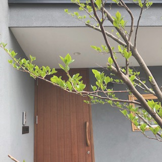 木製ドアハンドル/施工例/すがたかたち