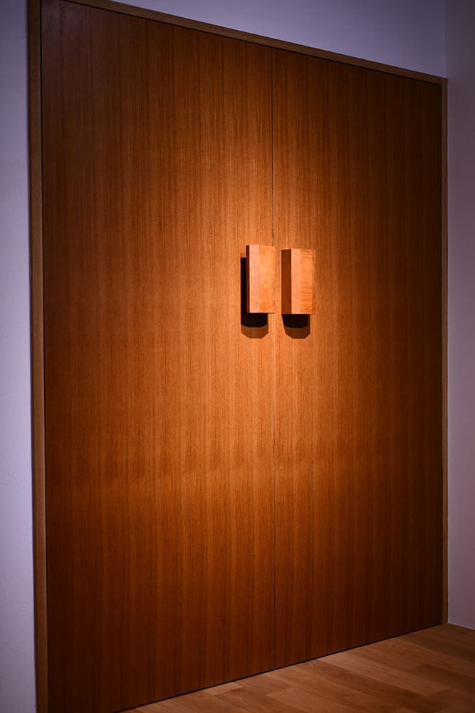 p210-3n.jpg